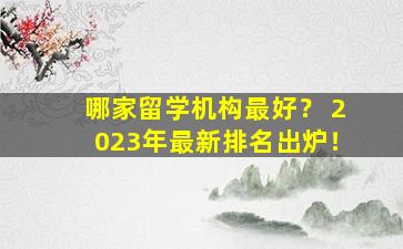 哪家留学机构最好？ 2023年最新排名出炉！